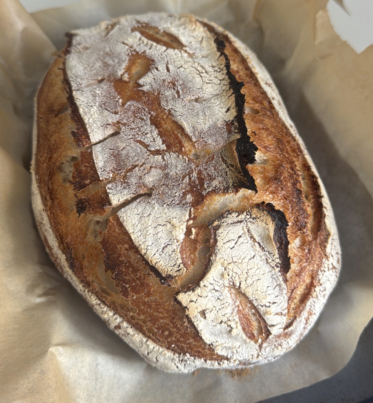 Fool-proof Sourdough Recipe